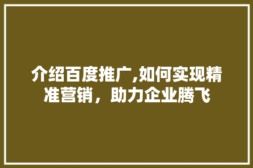 介绍百度推广,如何实现精准营销，助力企业腾飞 介绍百度推广,如何实现精准营销，助力企业腾飞 搜狗SEO