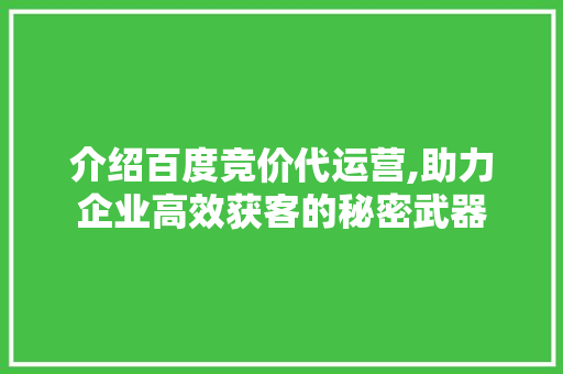 介绍百度竞价代运营,助力企业高效获客的秘密武器