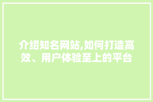 介绍知名网站,如何打造高效、用户体验至上的平台