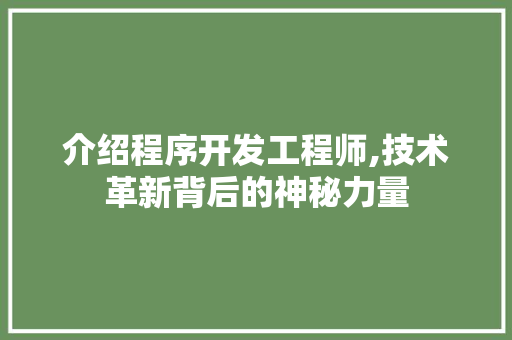 介绍程序开发工程师,技术革新背后的神秘力量 介绍程序开发工程师,技术革新背后的神秘力量 必应SEO