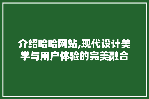 介绍哈哈网站,现代设计美学与用户体验的完美融合