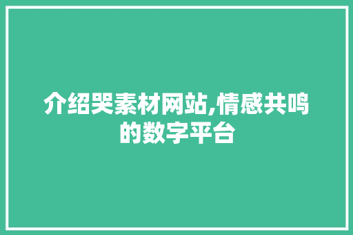 介绍哭素材网站,情感共鸣的数字平台 介绍哭素材网站,情感共鸣的数字平台 SEO关键词