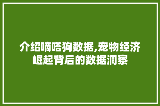 介绍嘀嗒狗数据,宠物经济崛起背后的数据洞察