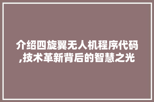 介绍四旋翼无人机程序代码,技术革新背后的智慧之光 介绍四旋翼无人机程序代码,技术革新背后的智慧之光 百度SEO