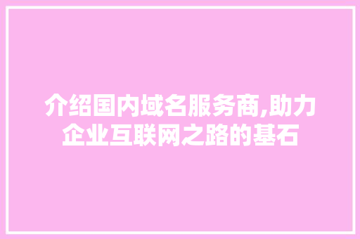 介绍国内域名服务商,助力企业互联网之路的基石 介绍国内域名服务商,助力企业互联网之路的基石 SEO关键词
