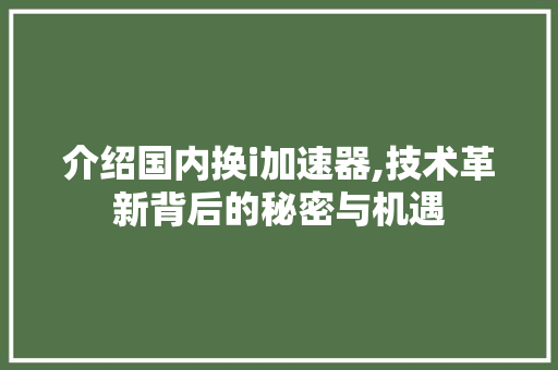 介绍国内换i加速器,技术革新背后的秘密与机遇 介绍国内换i加速器,技术革新背后的秘密与机遇 SEO关键词