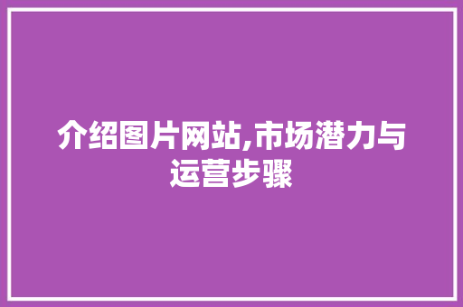 介绍图片网站,市场潜力与运营步骤 介绍图片网站,市场潜力与运营步骤 SEO关键词