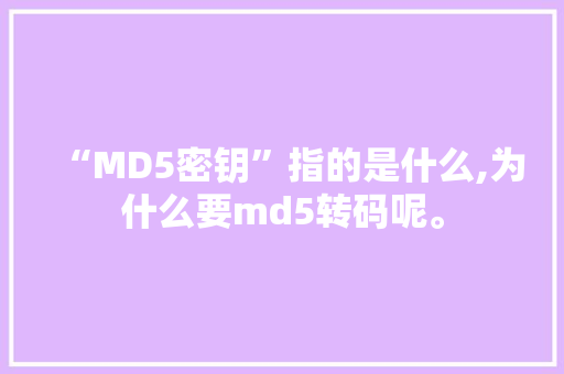 “MD5密钥”指的是什么,为什么要md5转码呢。 “MD5密钥”指的是什么,为什么要md5转码呢。 神马SEO