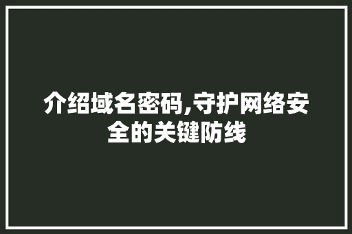 介绍域名密码,守护网络安全的关键防线 介绍域名密码,守护网络安全的关键防线 百度SEO