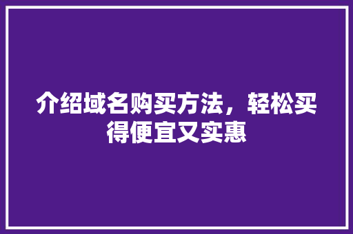介绍域名购买方法，轻松买得便宜又实惠 介绍域名购买方法，轻松买得便宜又实惠 神马SEO