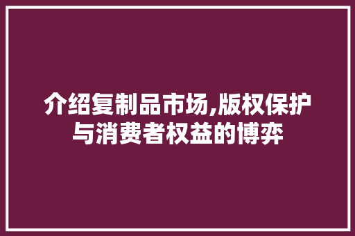 介绍复制品市场,版权保护与消费者权益的博弈 介绍复制品市场,版权保护与消费者权益的博弈 网站建设公司