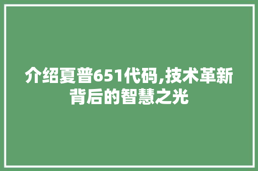 介绍夏普651代码,技术革新背后的智慧之光