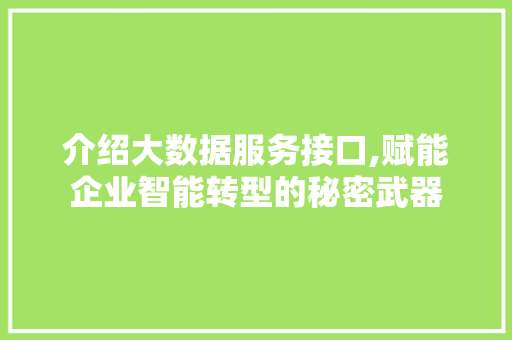 介绍大数据服务接口,赋能企业智能转型的秘密武器
