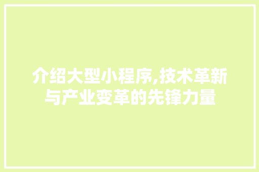 介绍大型小程序,技术革新与产业变革的先锋力量 介绍大型小程序,技术革新与产业变革的先锋力量 SEO关键词