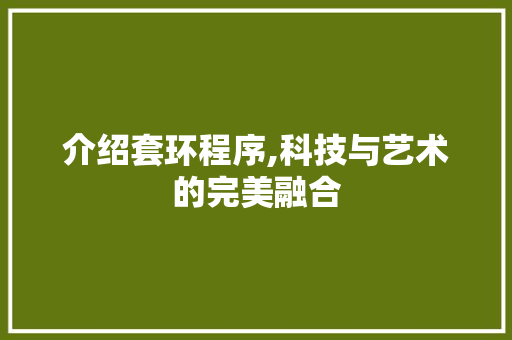 介绍套环程序,科技与艺术的完美融合 介绍套环程序,科技与艺术的完美融合 百度SEO