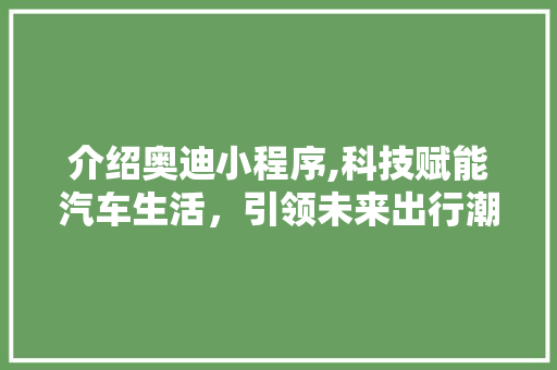 介绍奥迪小程序,科技赋能汽车生活，引领未来出行潮流 介绍奥迪小程序,科技赋能汽车生活，引领未来出行潮流 必应SEO