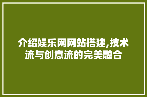 介绍娱乐网网站搭建,技术流与创意流的完美融合 介绍娱乐网网站搭建,技术流与创意流的完美融合 必应SEO