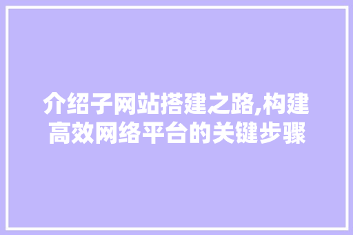介绍子网站搭建之路,构建高效网络平台的关键步骤 介绍子网站搭建之路,构建高效网络平台的关键步骤 SEO关键词