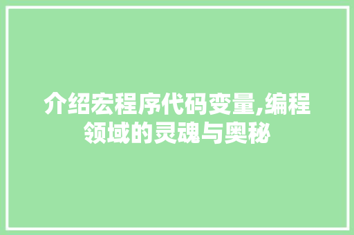 介绍宏程序代码变量,编程领域的灵魂与奥秘 介绍宏程序代码变量,编程领域的灵魂与奥秘 网站建设公司
