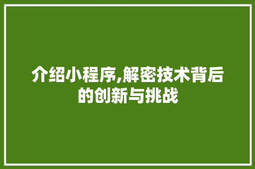 介绍小程序,解密技术背后的创新与挑战 介绍小程序,解密技术背后的创新与挑战 网站建设公司