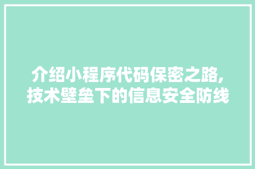 介绍小程序代码保密之路,技术壁垒下的信息安全防线 介绍小程序代码保密之路,技术壁垒下的信息安全防线 必应SEO