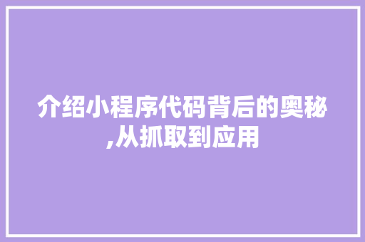 介绍小程序代码背后的奥秘,从抓取到应用 介绍小程序代码背后的奥秘,从抓取到应用 百度SEO
