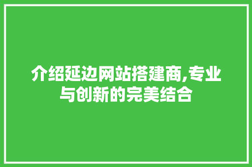 介绍延边网站搭建商,专业与创新的完美结合