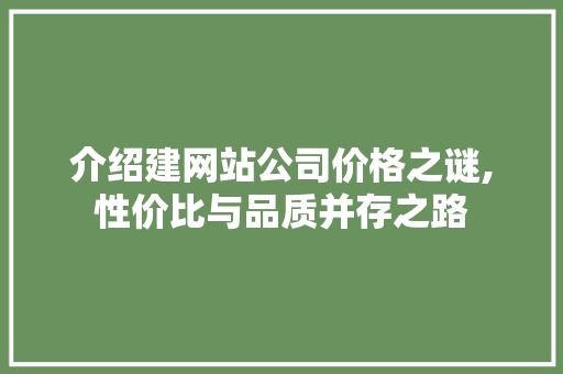 介绍建网站公司价格之谜,性价比与品质并存之路 介绍建网站公司价格之谜,性价比与品质并存之路 必应SEO
