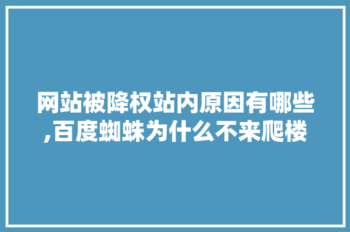 网站被降权站内原因有哪些,百度蜘蛛为什么不来爬楼梯。 网站被降权站内原因有哪些,百度蜘蛛为什么不来爬楼梯。 神马SEO