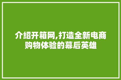 介绍开箱网,打造全新电商购物体验的幕后英雄 介绍开箱网,打造全新电商购物体验的幕后英雄 百度SEO