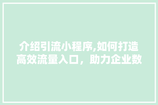 介绍引流小程序,如何打造高效流量入口，助力企业数字化转型 介绍引流小程序,如何打造高效流量入口，助力企业数字化转型 SEO关键词