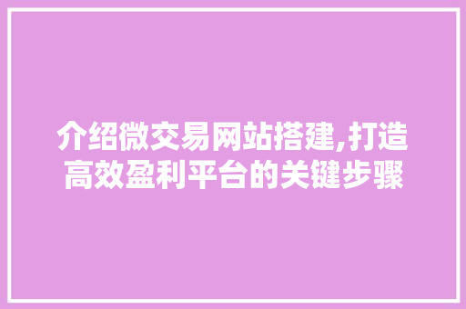 介绍微交易网站搭建,打造高效盈利平台的关键步骤 介绍微交易网站搭建,打造高效盈利平台的关键步骤 神马SEO