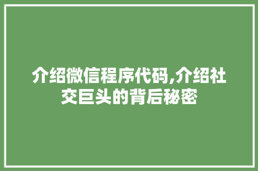 介绍微信程序代码,介绍社交巨头的背后秘密 介绍微信程序代码,介绍社交巨头的背后秘密 网站建设公司