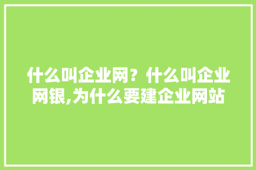 什么叫企业网？什么叫企业网银,为什么要建企业网站呢。