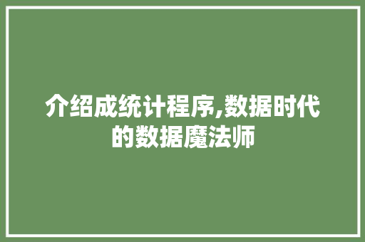 介绍成统计程序,数据时代的数据魔法师 介绍成统计程序,数据时代的数据魔法师 网站建设公司