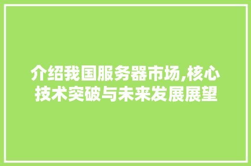 介绍我国服务器市场,核心技术突破与未来发展展望 介绍我国服务器市场,核心技术突破与未来发展展望 SEO关键词