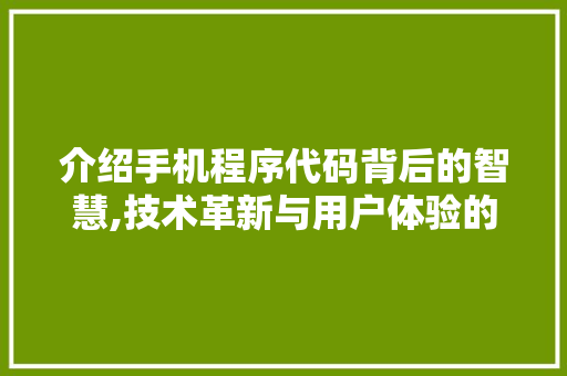 介绍手机程序代码背后的智慧,技术革新与用户体验的融合 介绍手机程序代码背后的智慧,技术革新与用户体验的融合 神马SEO