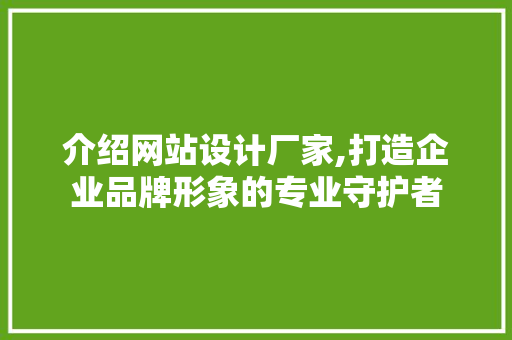 介绍网站设计厂家,打造企业品牌形象的专业守护者