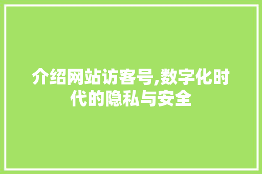 介绍网站访客号,数字化时代的隐私与安全