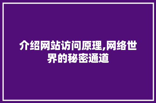 介绍网站访问原理,网络世界的秘密通道 介绍网站访问原理,网络世界的秘密通道 百度SEO