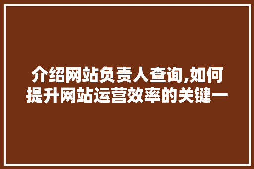 介绍网站负责人查询,如何提升网站运营效率的关键一步 介绍网站负责人查询,如何提升网站运营效率的关键一步 神马SEO