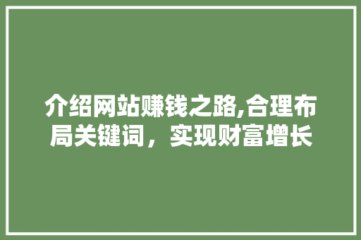 介绍网站赚钱之路,合理布局关键词，实现财富增长 介绍网站赚钱之路,合理布局关键词，实现财富增长 百度SEO