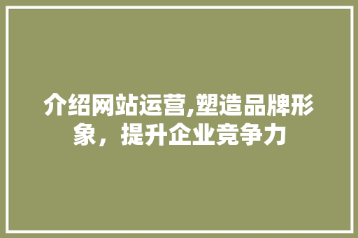 介绍网站运营,塑造品牌形象，提升企业竞争力 介绍网站运营,塑造品牌形象，提升企业竞争力 百度SEO