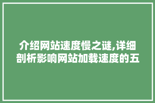 介绍网站速度慢之谜,详细剖析影响网站加载速度的五大因素