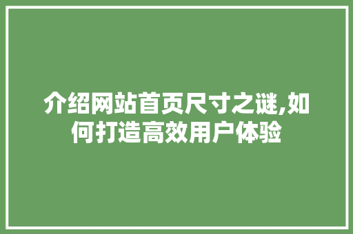 介绍网站首页尺寸之谜,如何打造高效用户体验 介绍网站首页尺寸之谜,如何打造高效用户体验 百度SEO