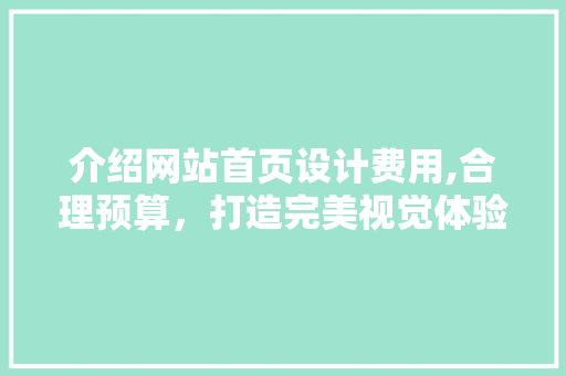 介绍网站首页设计费用,合理预算，打造完美视觉体验 介绍网站首页设计费用,合理预算，打造完美视觉体验 百度SEO