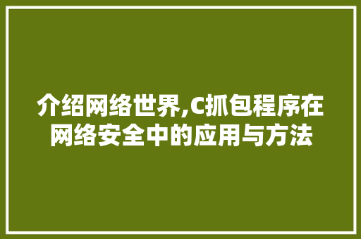 介绍网络世界,C抓包程序在网络安全中的应用与方法 介绍网络世界,C抓包程序在网络安全中的应用与方法 必应SEO