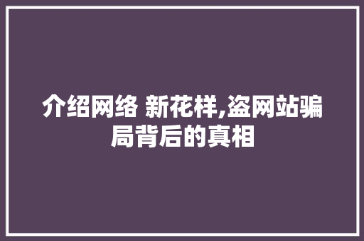 介绍网络 新花样,盗网站骗局背后的真相 介绍网络 新花样,盗网站骗局背后的真相 必应SEO