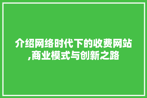 介绍网络时代下的收费网站,商业模式与创新之路 介绍网络时代下的收费网站,商业模式与创新之路 网站建设公司