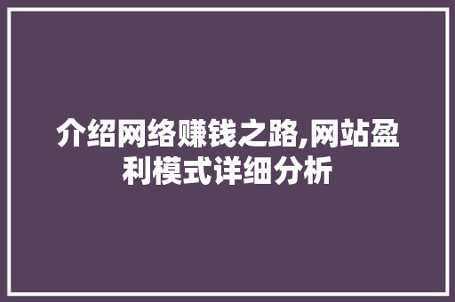 介绍网络赚钱之路,网站盈利模式详细分析 介绍网络赚钱之路,网站盈利模式详细分析 神马SEO